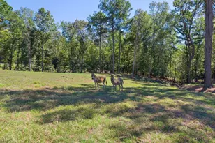 13127 S Cr 246, Arp, TX 75750 - Photo 45
