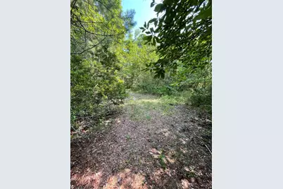 Tbd County Road 4559, Winnsboro, TX 75494 - Photo 5