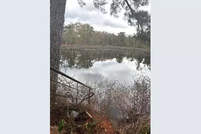 2919 County Road 102 W, Overton, TX 75684 - Photo 13