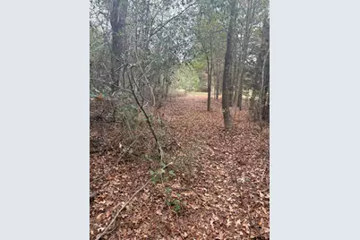 2919 County Road 102 W, Overton, TX 75684 - Photo 5