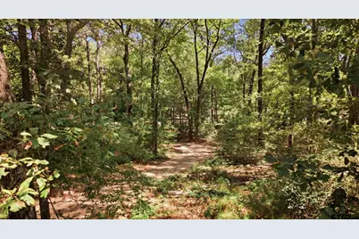 8670 Fm 1857, Rusk, TX 75785 - Photo 45