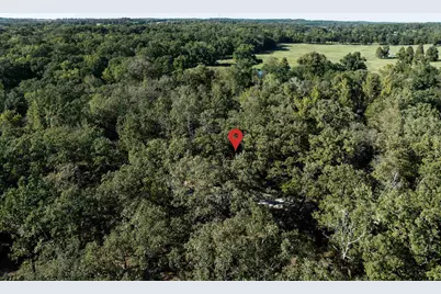 655 Dogwood Drive, Murchison, TX 75778 - Photo 25