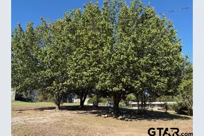210 Caddo, Quitman, TX 75783 - Photo 9