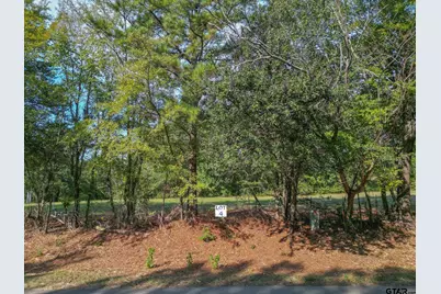Lot 4 Willingham Rd, Whitehouse, TX 75791 - Photo 3