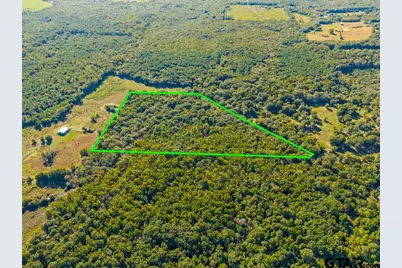 Tbd Fm 3324, 24 Acres, Pittsburg, TX 75686 - Photo 7