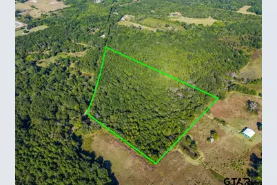 Tbd Fm 3324, 24 Acres, Pittsburg, TX 75686 - Photo 5