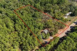 318 C R 323, Lindale, TX 75771 - Photo 45