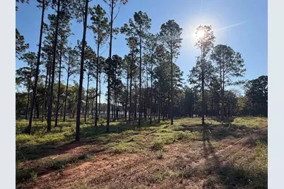 Lot 41 Oak River Estates, Frankston, TX 75763 - Photo 9