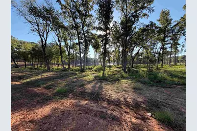 Lot 41 Oak River Estates, Frankston, TX 75763 - Photo 3