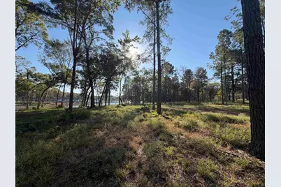 Lot 44 Oak River Estates, Frankston, TX 75763 - Photo 9