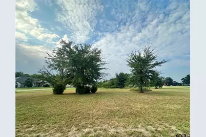Tbd Fairway Lane, Sulphur Springs, TX 75482 - Photo 9