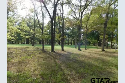 Lot 35 Brook Harbor, Yantis, TX 75497 - Photo 3