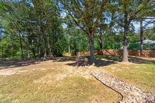 20402 Ashley Cir, Troup, TX 75789 - Photo 29