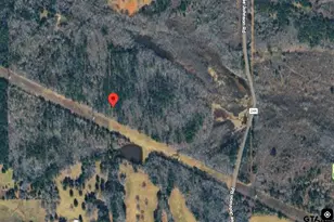 24519 C R 244, Overton, TX 75684 - Photo 1