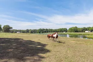 23888 Cr 2110, Troup, TX 75789 - Photo 39