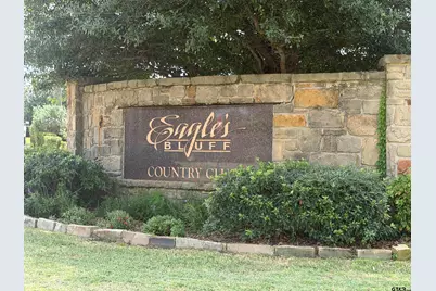177 N Lake Bluff Drive, Bullard, TX 75757 - Photo 39