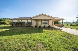 2550 Vz County Road 4501, Ben Wheeler, TX 75754 - Photo 1