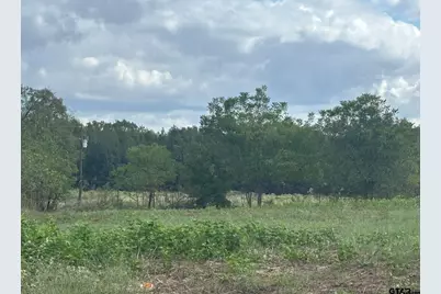 829 Cr 3318, Pittsburg, TX 75686 - Photo 19