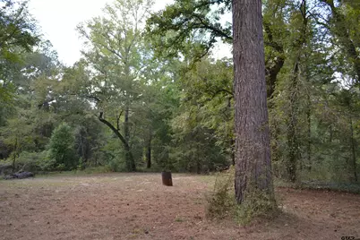 14839 Cr 3520, Brownsboro, TX 75756 - Photo 21