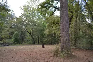 14839 Co Rd 3520, Brownsboro, TX 75756 - Photo 21