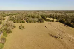 Tbd Lot 7 Cr 3222, Leesburg, TX 75451 - Photo 1