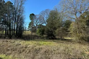 Lot 1 Berrycreek Circle, Frankston, TX 75763 - Photo 1