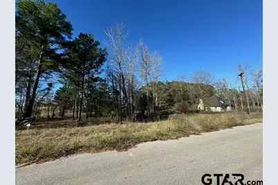 Lot 1 Berrycreek Circle, Frankston, TX 75763 - Photo 5