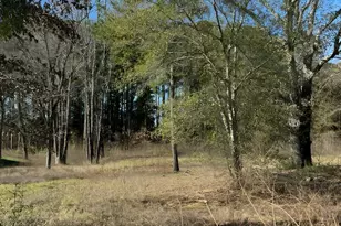 Lot 3 Berrycreek Circle, Frankston, TX 75763 - Photo 1