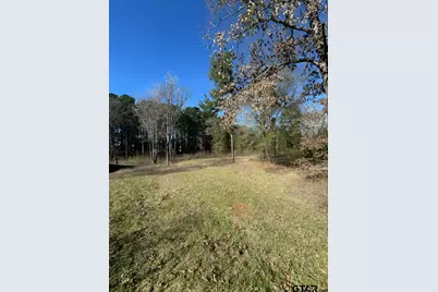 Lot 3 Berrycreek Circle, Frankston, TX 75763 - Photo 5