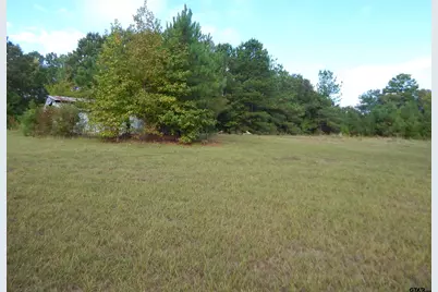 6008 Doe Trail, Gilmer, TX 75645 - Photo 41