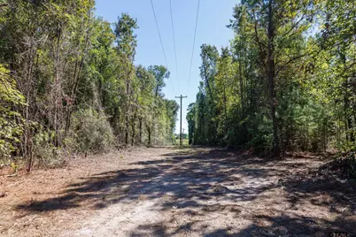Tbd Peach Road, Gilmer, TX 75644 - Photo 15
