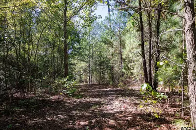 Tbd Peach Road, Gilmer, TX 75644 - Photo 13