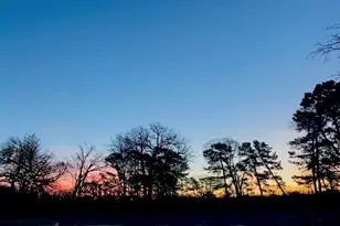 425 Co Rd 4111, Jacksonville, TX 75766 - Photo 25