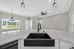 281 An County Road 308, Frankston, TX 75763 - Photo 15
