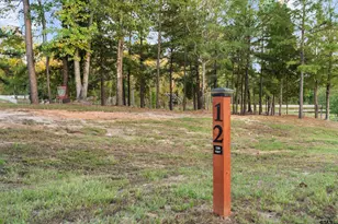 8928 Locust Rd, Big Sandy, TX 75755 - Photo 43
