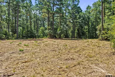 Tbd County Road 1240, Pittsburg, TX 75686 - Photo 21