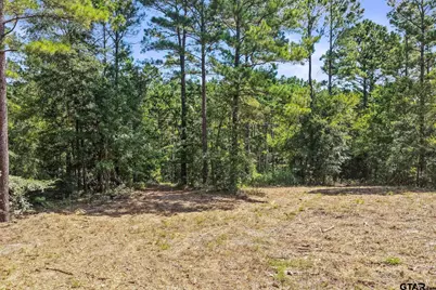Tbd County Road 1240, Pittsburg, TX 75686 - Photo 9