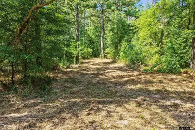 Tbd County Road 1240, Pittsburg, TX 75686 - Photo 13