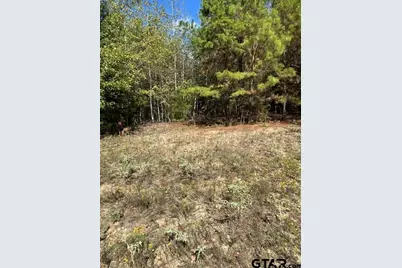 2699 Poppy, Gilmer, TX 75644 - Photo 5