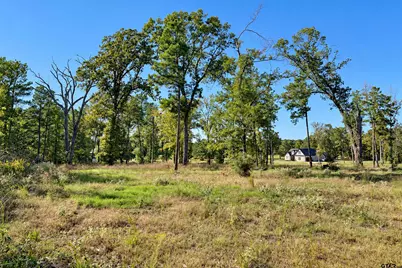 15923 Aniston Ln Lot 9, Flint, TX 75762 - Photo 9