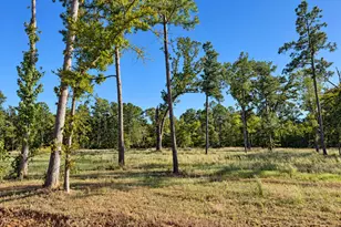 15923 Aniston Ln Lot 9, Flint, TX 75762 - Photo 1