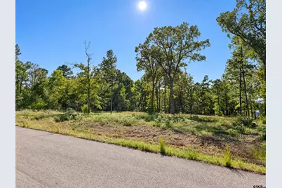 15923 Aniston Ln Lot 9, Flint, TX 75762 - Photo 15