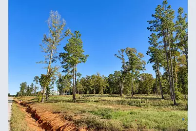 15923 Aniston Ln Lot 9, Flint, TX 75762 - Photo 13
