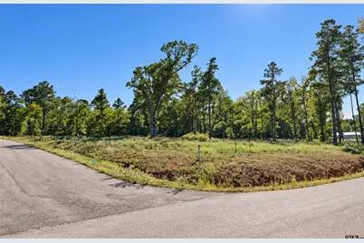 15923 Aniston Ln Lot 9, Flint, TX 75762 - Photo 3