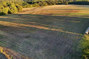 0000 County Road 4930, Quitman, TX 75783 - Photo 1