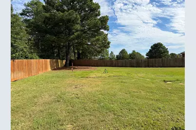 413 Maggie Circle, Flint, TX 75762 - Photo 29