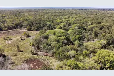 000 An County Rd 493, Cayuga, TX 75832 - Photo 13