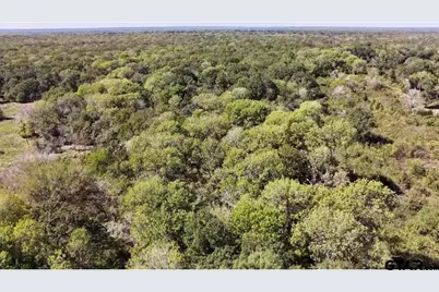 000 An County Rd 493, Cayuga, TX 75832 - Photo 11