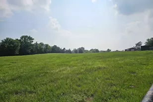 893 FM 1519, Pittsburg, TX 75686 - Photo 27