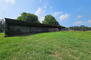 893 FM 1519, Pittsburg, TX 75686 - Photo 31